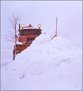  county plow 