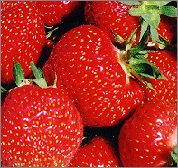  srawberries 